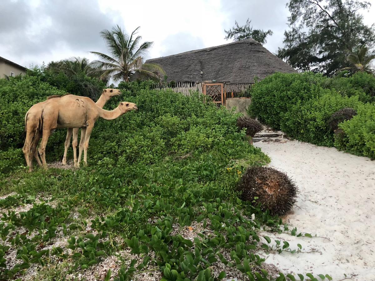 Sunset Beach Resort Watamu Exterior photo